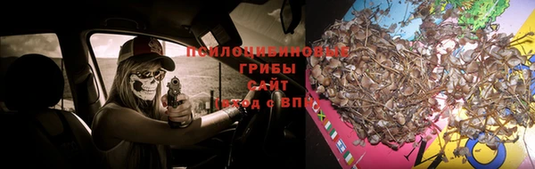 ешки Арсеньев