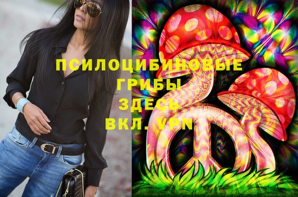 apvp Алзамай