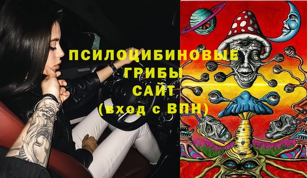 крисы Алексеевка