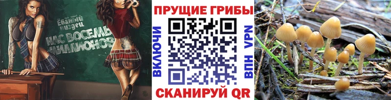 Псилоцибиновые грибы ЛСД  Купить где  Киров 